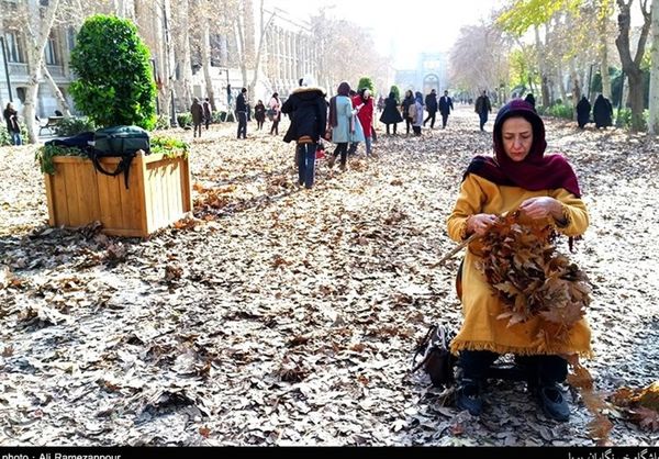 صحنههای جنگ مار و لک لک که دیگر تهرانیها نمیبینند/ ماجرای جغد تنهای میدان مشق