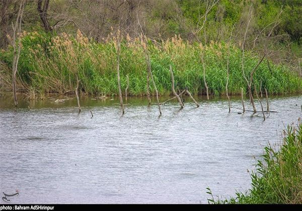 اردبیل| زیباییهای چشمانداز تالاب"توپراقکندی" در قاب تصویر